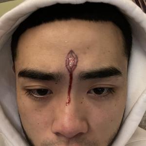 美女被触手狂揉下部❌动漫
