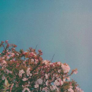 美女被触手狂揉下部❌动漫
